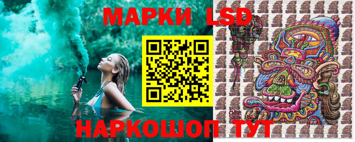Наркотические марки  Вход с VPN  Наркотические марки 1500мкг  Грозный  Наркотические марки 1500мкг 