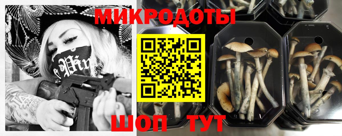 Галлюциногенные грибы Magic Shrooms  Вход с VPN  как найти закладки  Грозный 